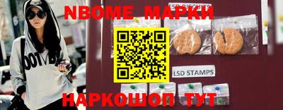 мдпв Новозыбков