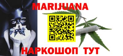 мдпв Новозыбков
