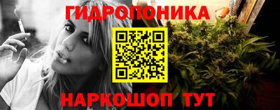 мдпв Новозыбков
