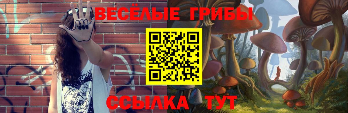 Подольск  Галлюциногенные грибы Psilocybe  продажа наркотиков  Вход с VPN  Псилоцибиновые грибы прущие грибы 